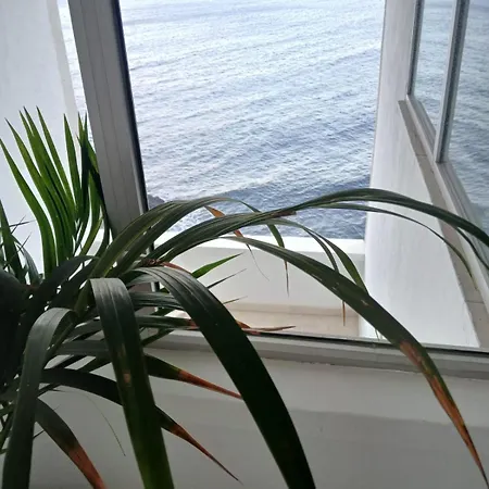 Playa Chica / Playa Gaviotas 산타크루스데 테네리페